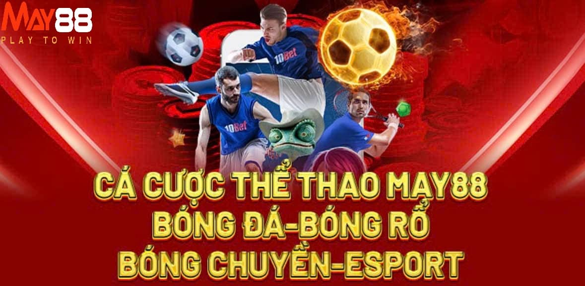 Sảnh Thể Thao May88 chất lượng